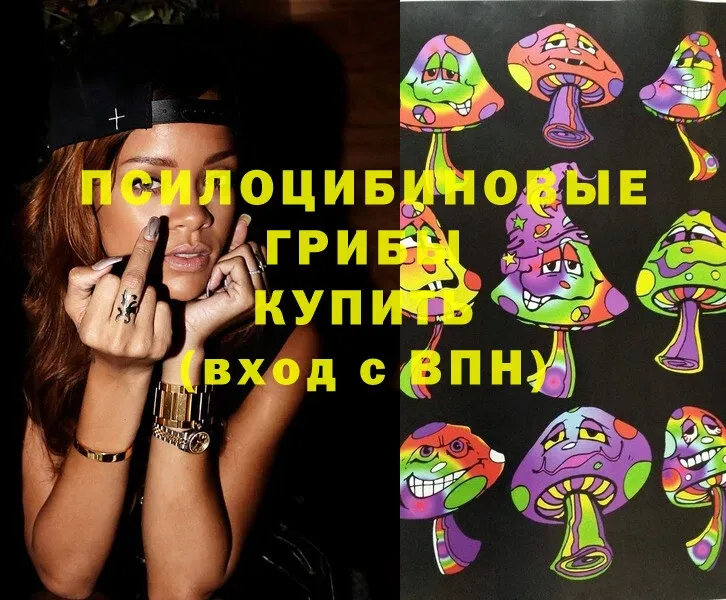 Псилоцибиновые грибы Magic Shrooms  Болхов 